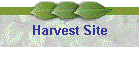 Harvest Site