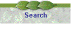 Search